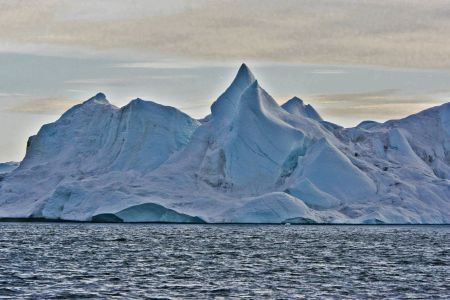 _DSC8602_wb